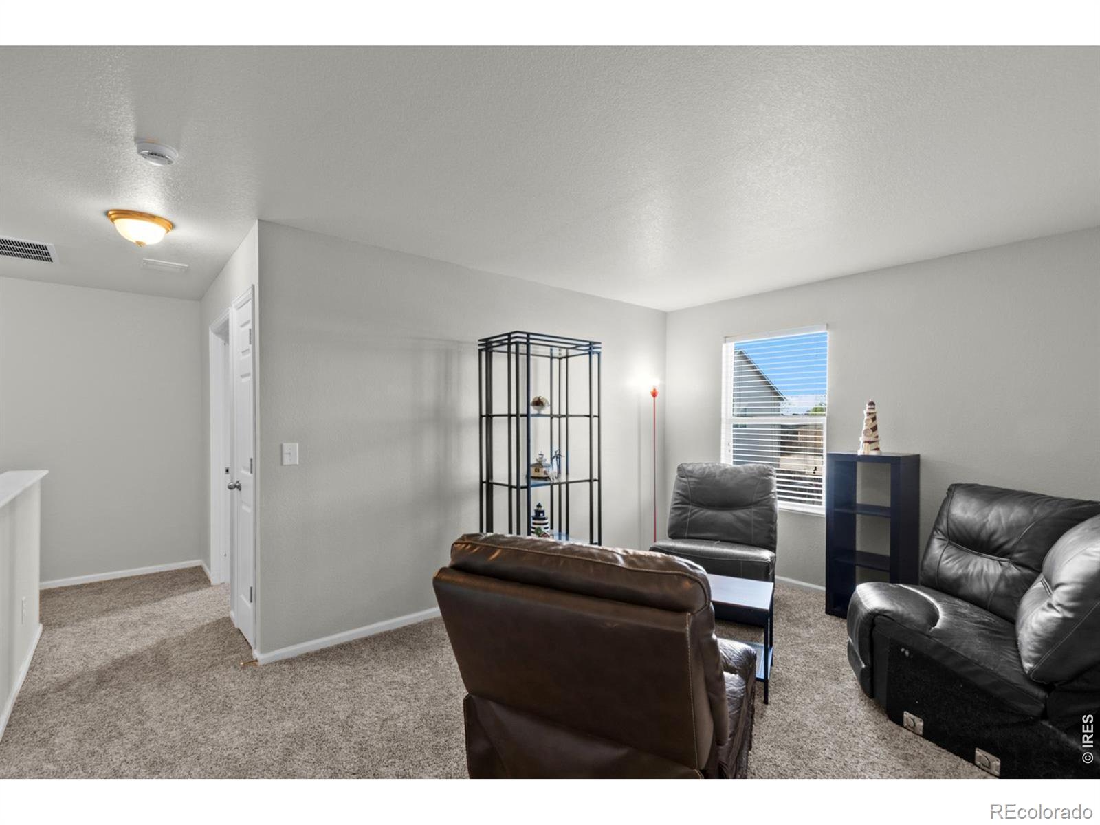 3690 Cornflower Street Wellington CO 80549