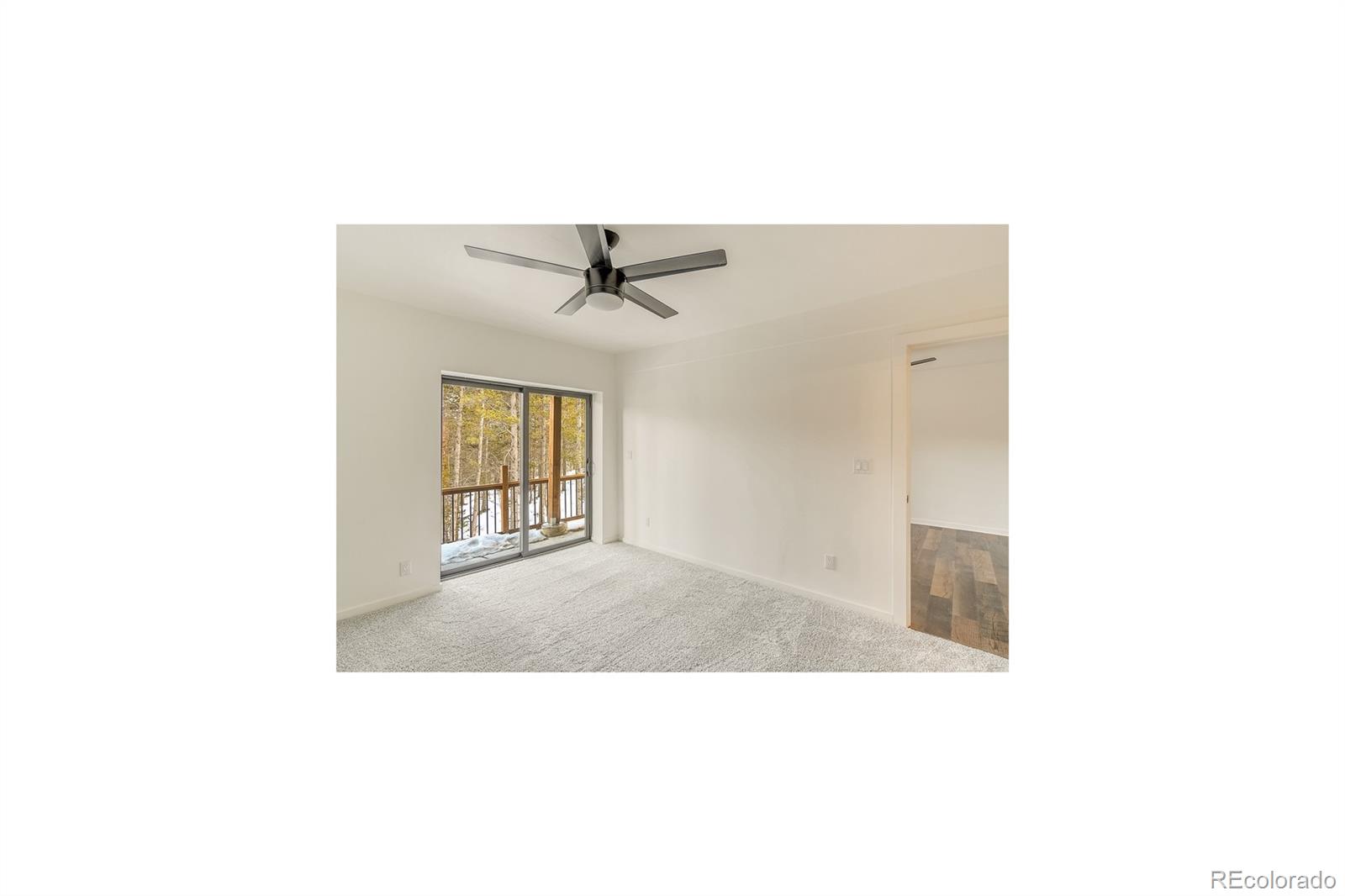 148 N Aspen Street Alma CO 80420