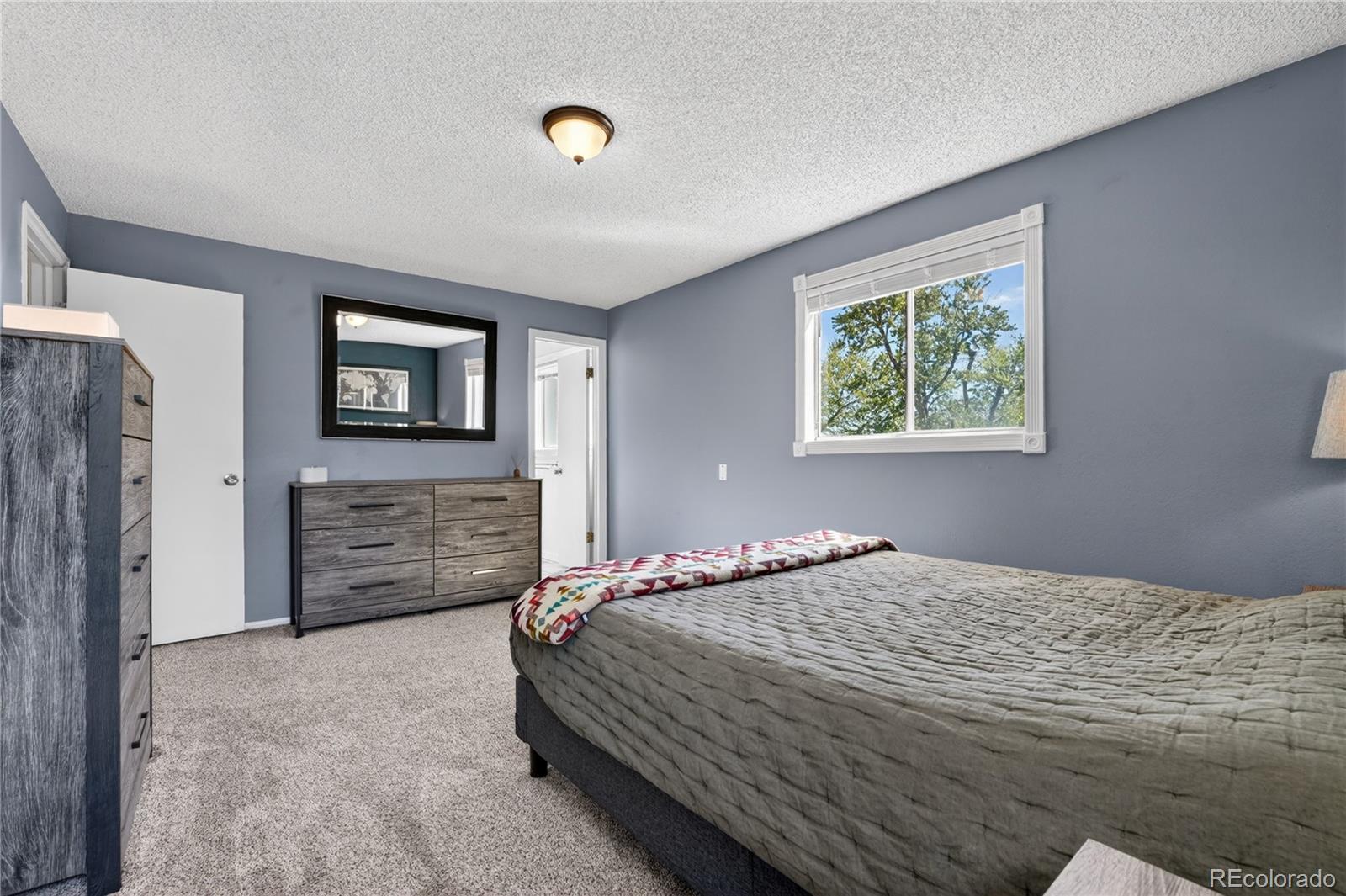 6233 S Dover Street Littleton CO 80123