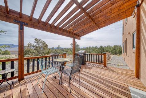 13380 County Road 261b Nathrop CO 81236