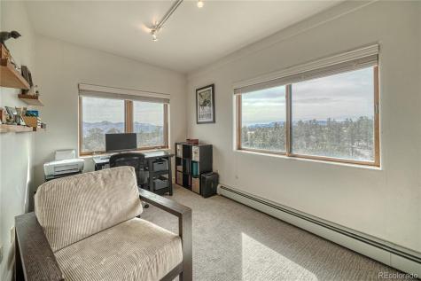 13380 County Road 261b Nathrop CO 81236