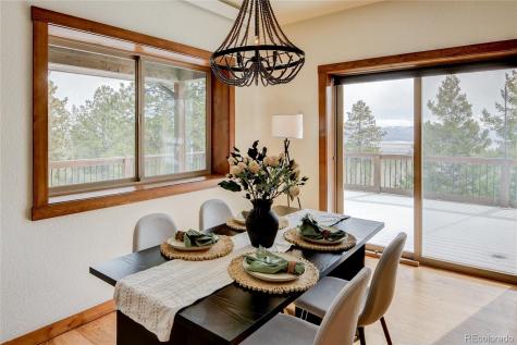 30220 Columbia Point Buena Vista CO 81211
