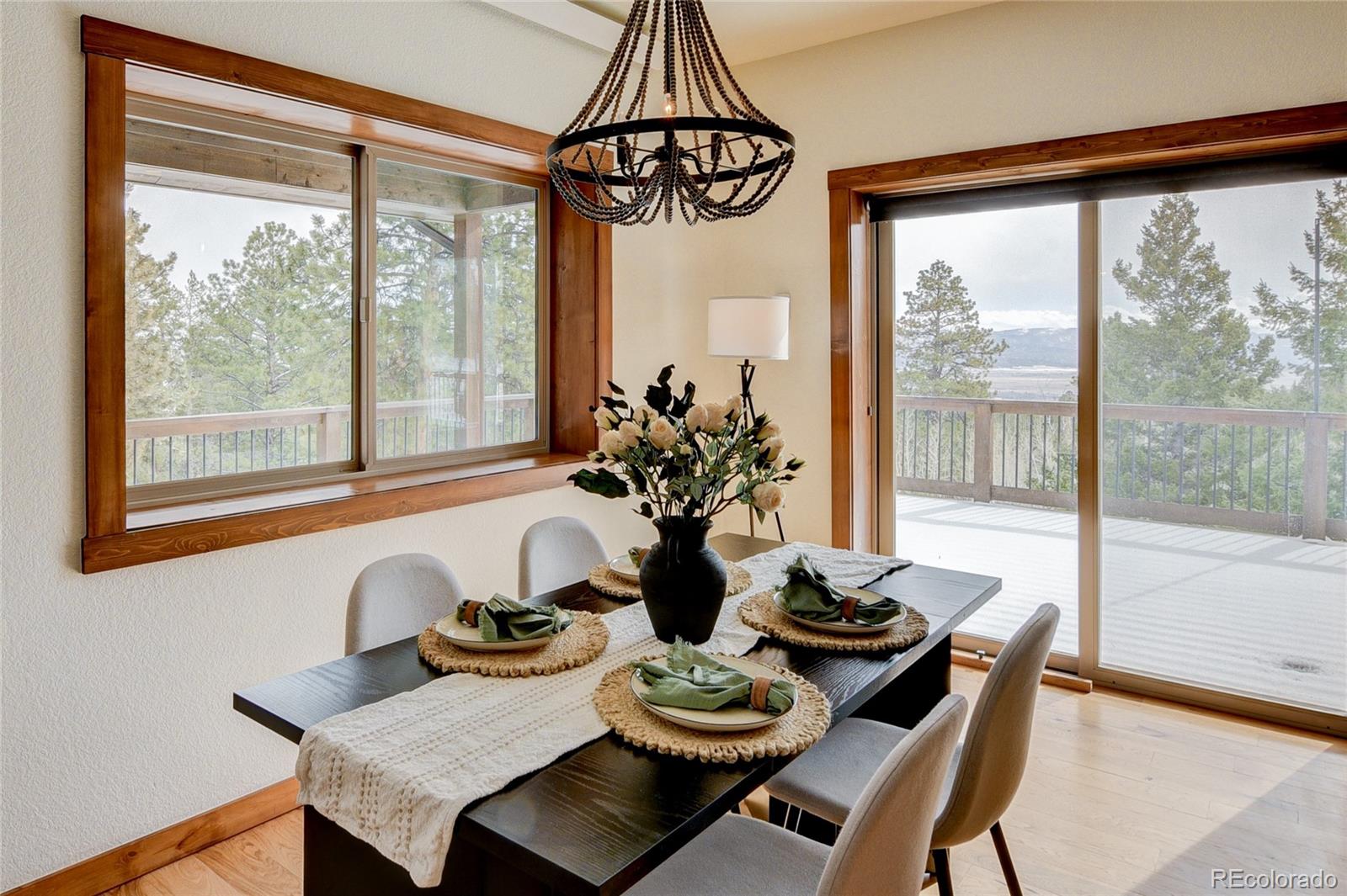 30220 Columbia Point Buena Vista CO 81211