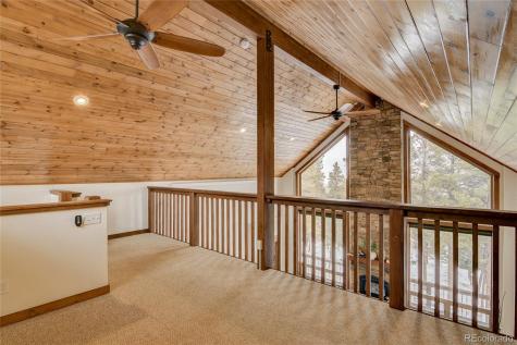 30220 Columbia Point Buena Vista CO 81211