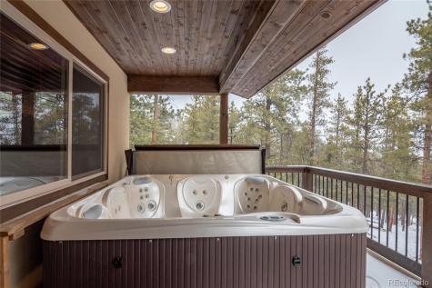 30220 Columbia Point Buena Vista CO 81211