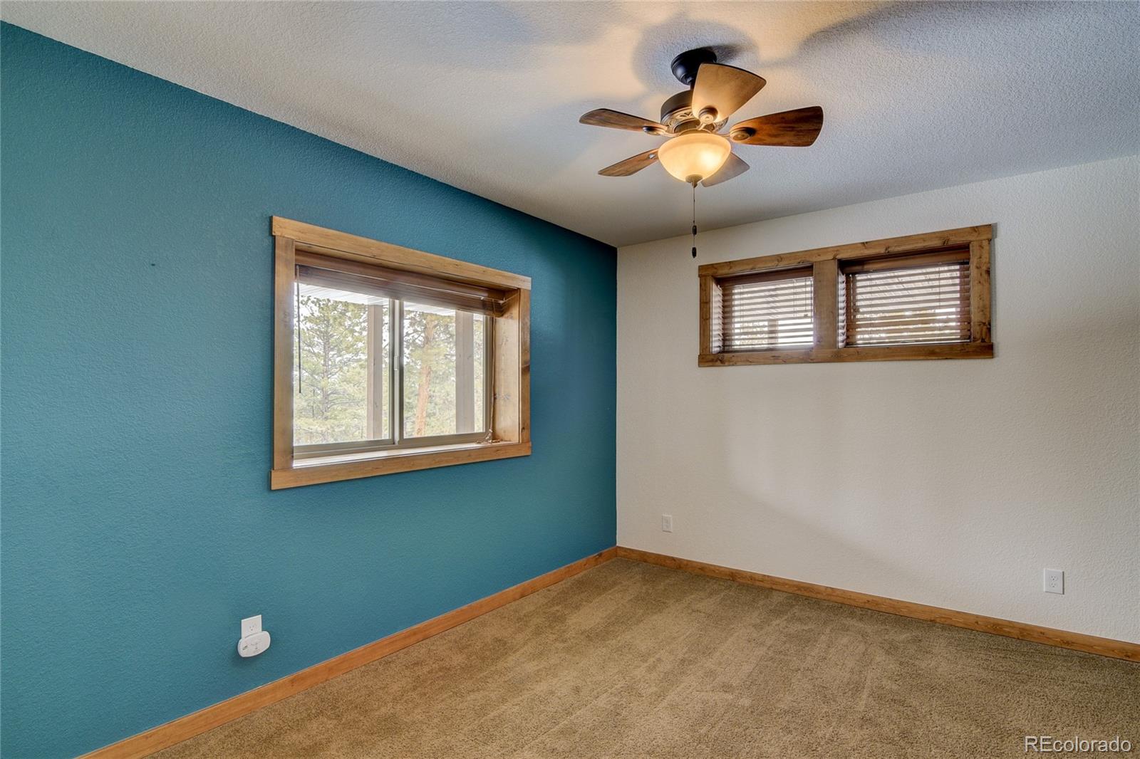 30220 Columbia Point Buena Vista CO 81211
