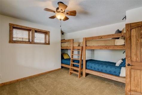 30220 Columbia Point Buena Vista CO 81211