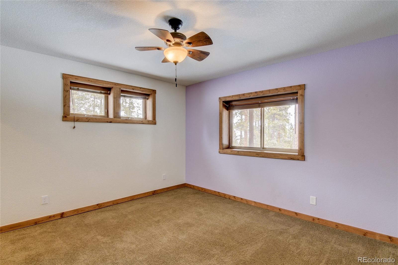 30220 Columbia Point Buena Vista CO 81211