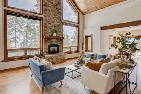 30220 Columbia Point Buena Vista CO 81211