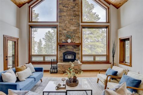 30220 Columbia Point Buena Vista CO 81211