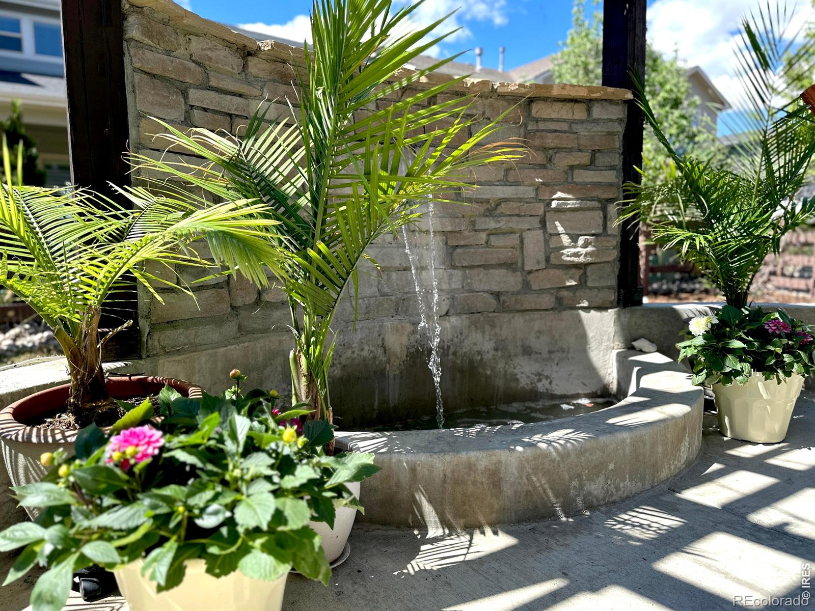 5921 Medlar Place Fort Collins CO 80528