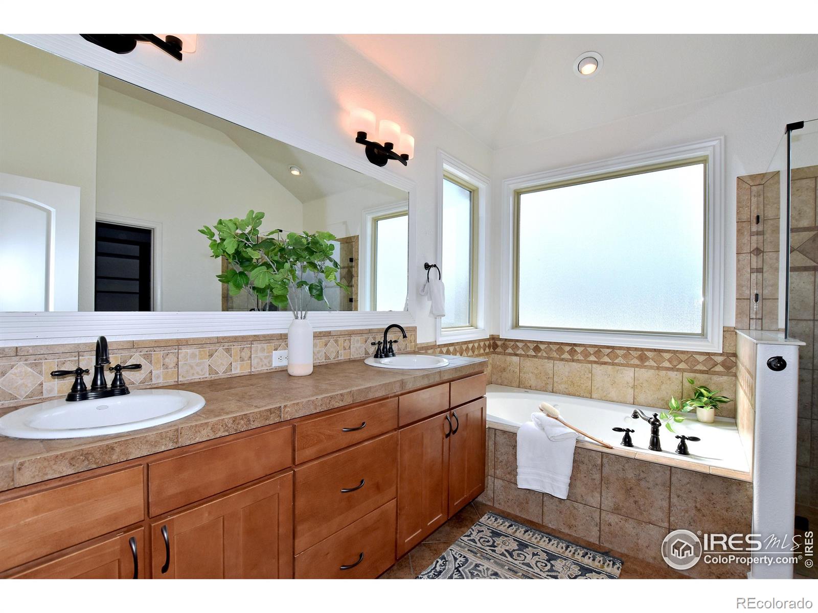 1929 Elba Court Windsor CO 80550