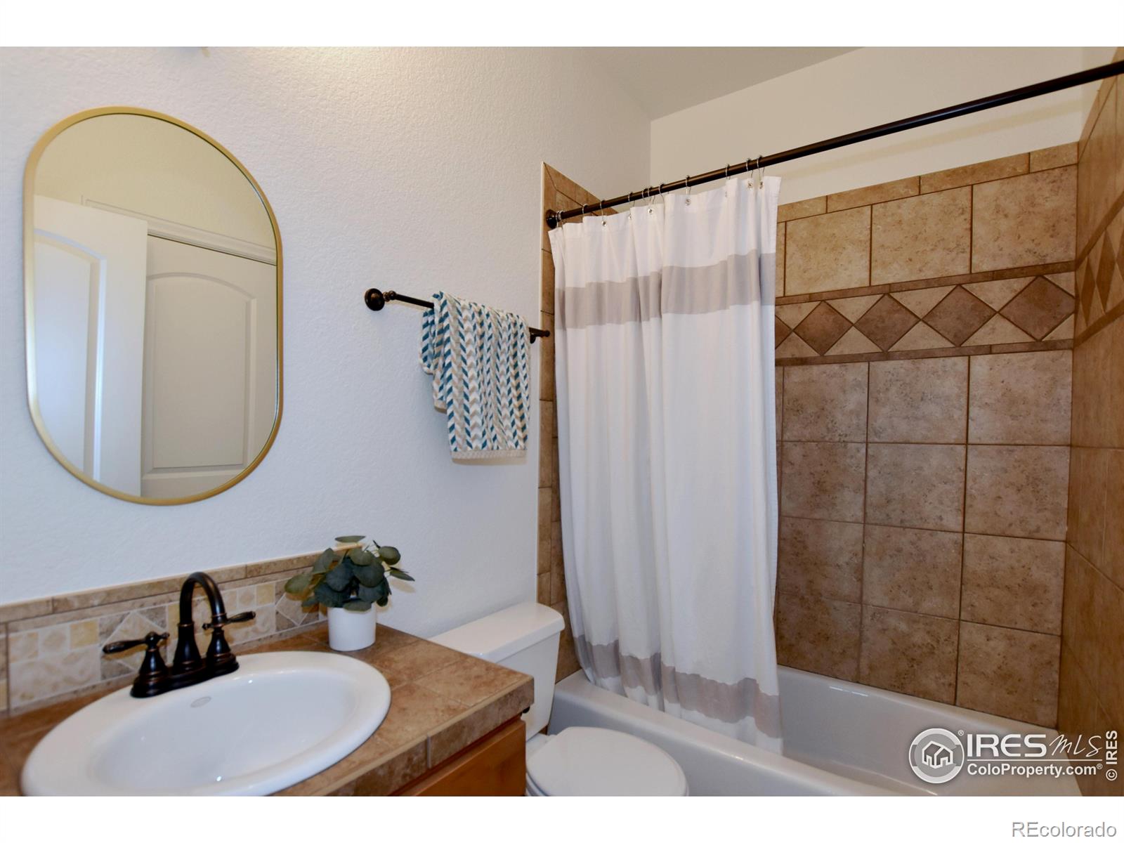 1929 Elba Court Windsor CO 80550