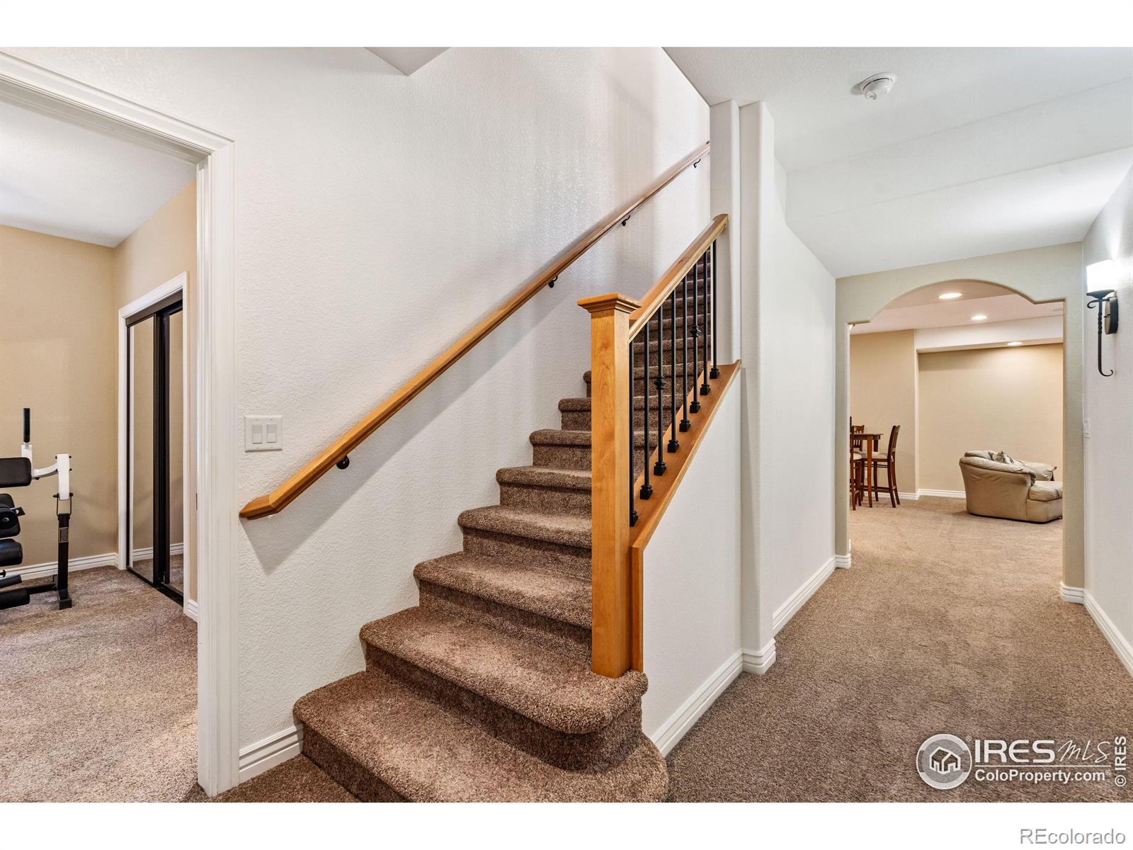 1929 Elba Court Windsor CO 80550