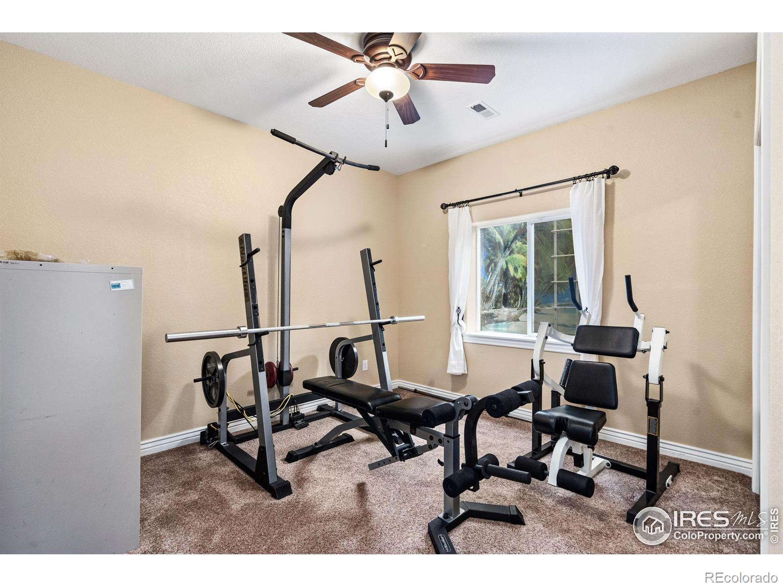 1929 Elba Court Windsor CO 80550