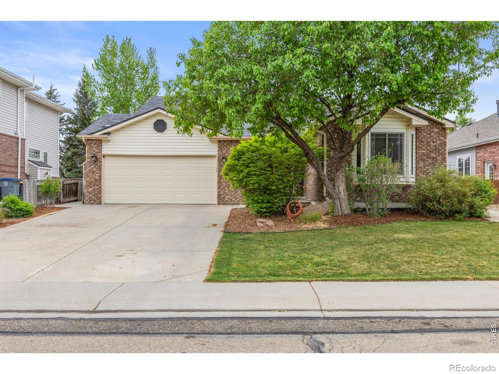 2517 Falcon Drive Longmont CO 80503