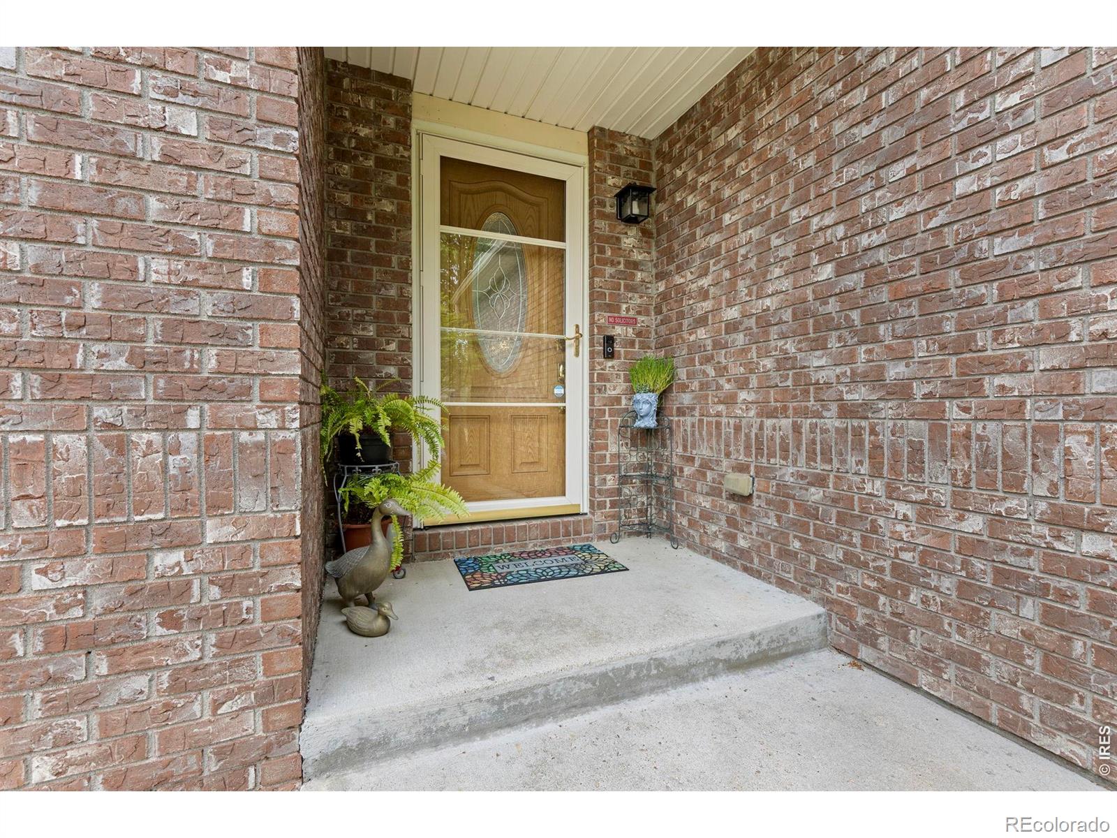 2517 Falcon Drive Longmont CO 80503