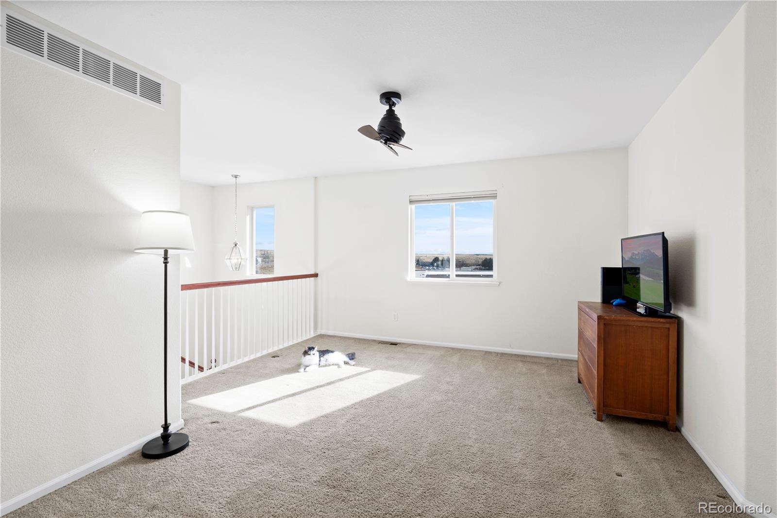 4655 Vireos View Colorado Springs CO 80922