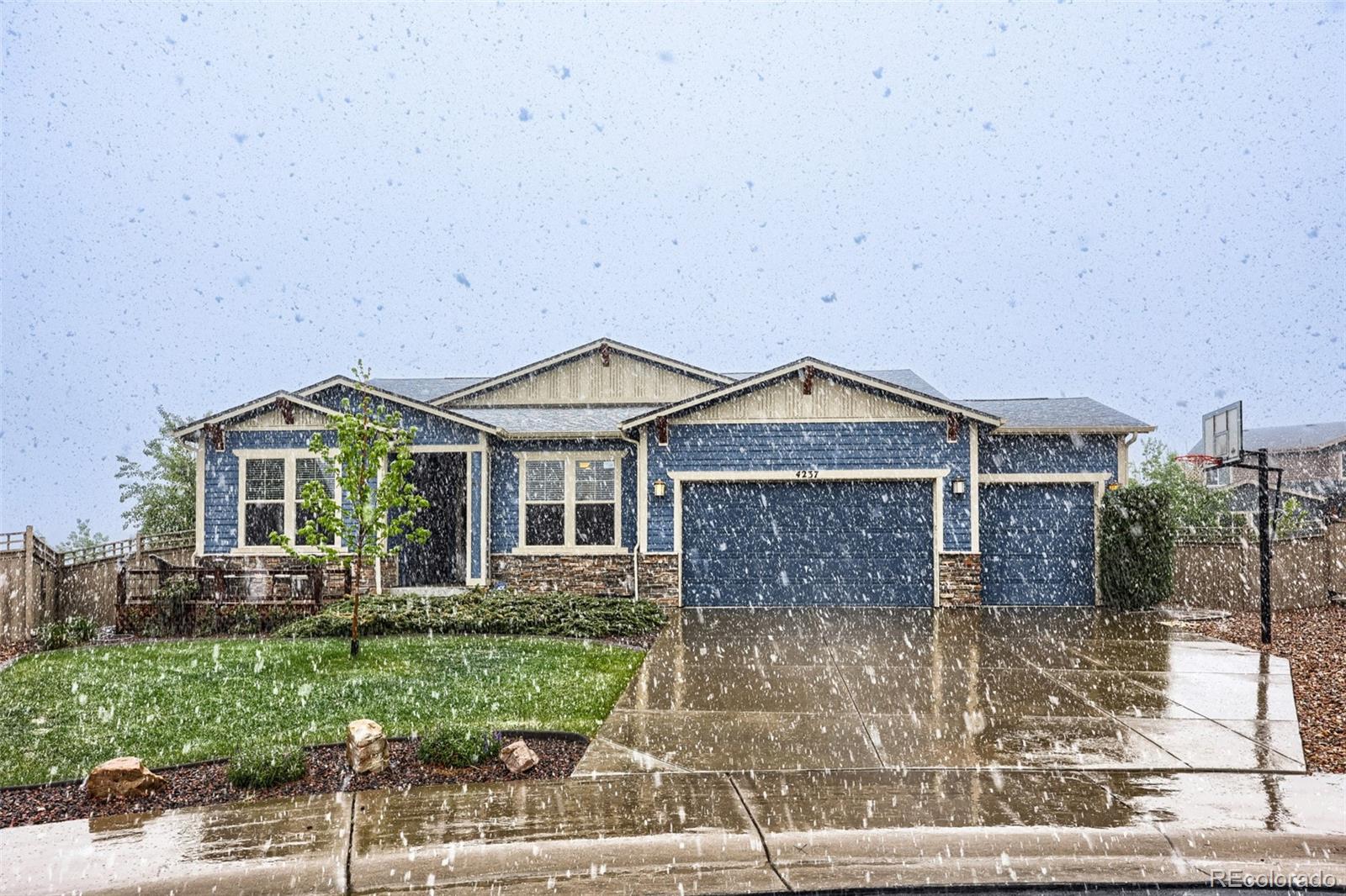 4237 Manorbrier Court Castle Rock CO 80104