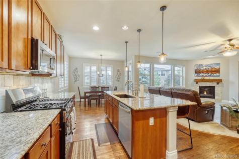 4237 Manorbrier Court Castle Rock CO 80104