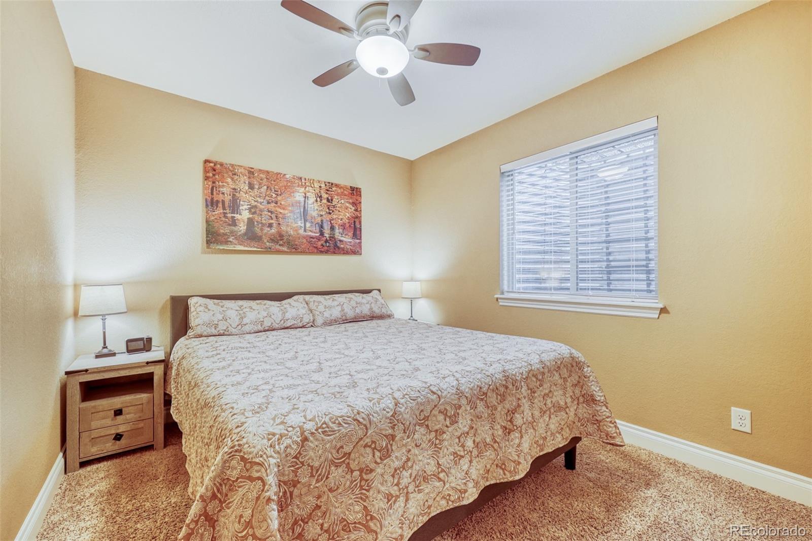 4237 Manorbrier Court Castle Rock CO 80104