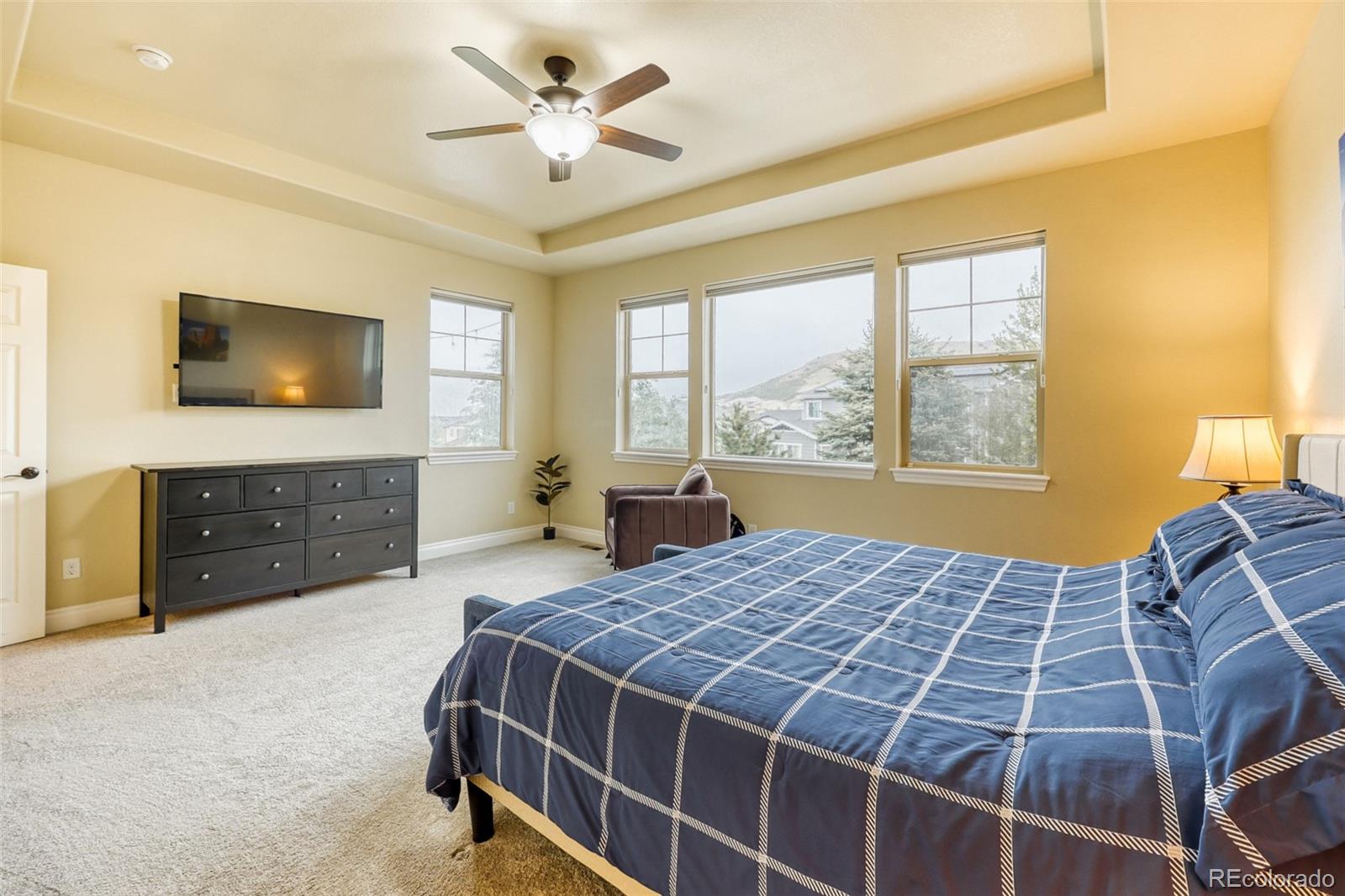 4237 Manorbrier Court Castle Rock CO 80104