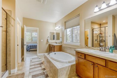 4237 Manorbrier Court Castle Rock CO 80104