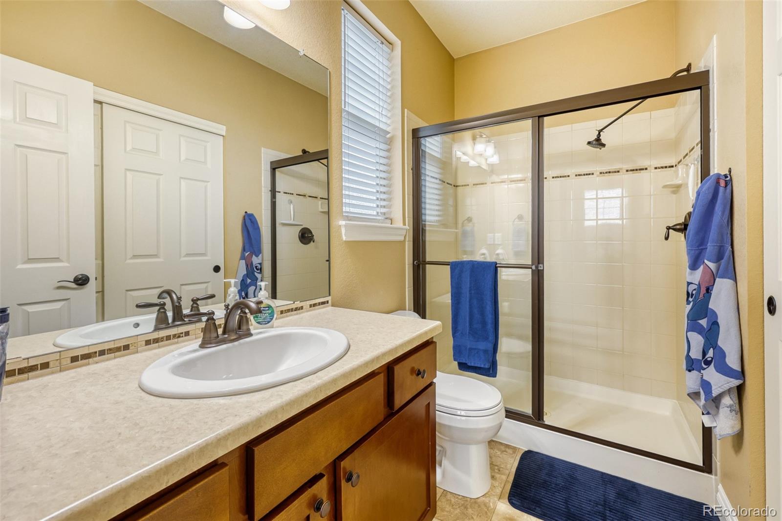 4237 Manorbrier Court Castle Rock CO 80104