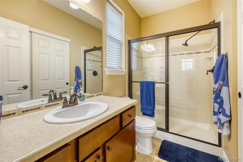 4237 Manorbrier Court Castle Rock CO 80104
