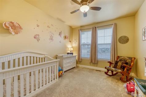 4237 Manorbrier Court Castle Rock CO 80104