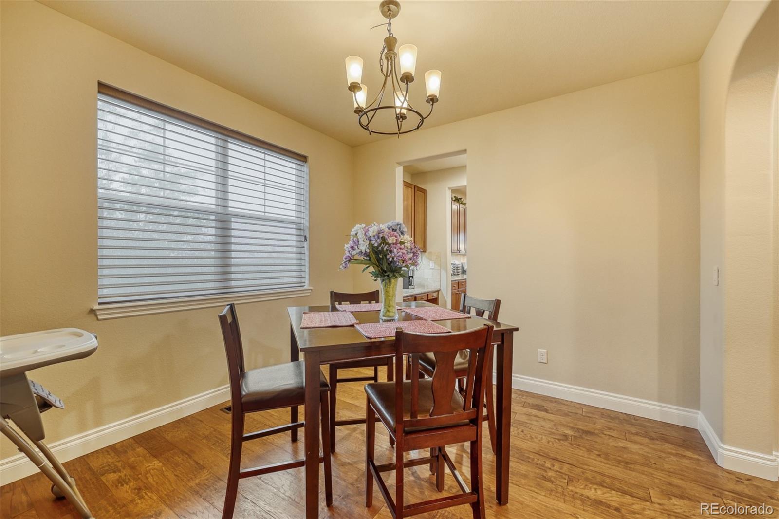 4237 Manorbrier Court Castle Rock CO 80104