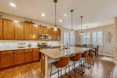 4237 Manorbrier Court Castle Rock CO 80104