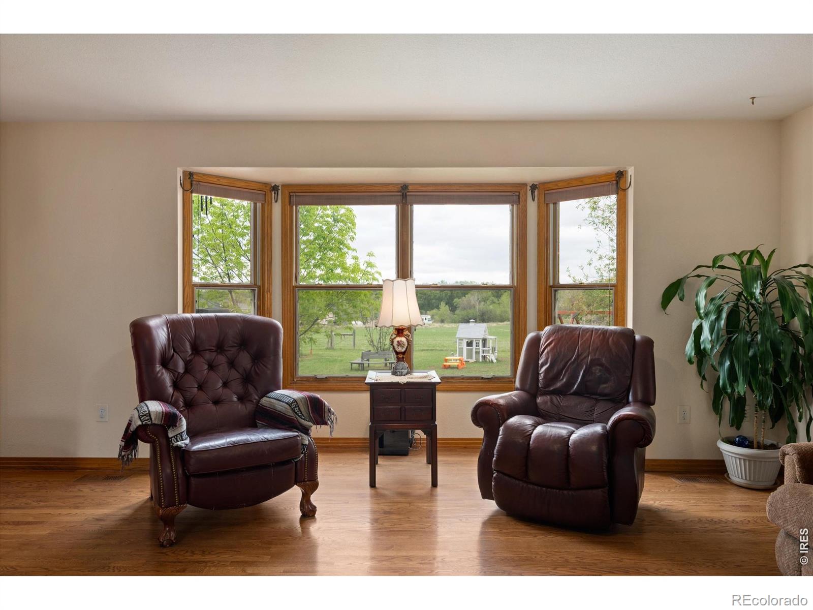 6206 Fox Tail Court Loveland CO 80537