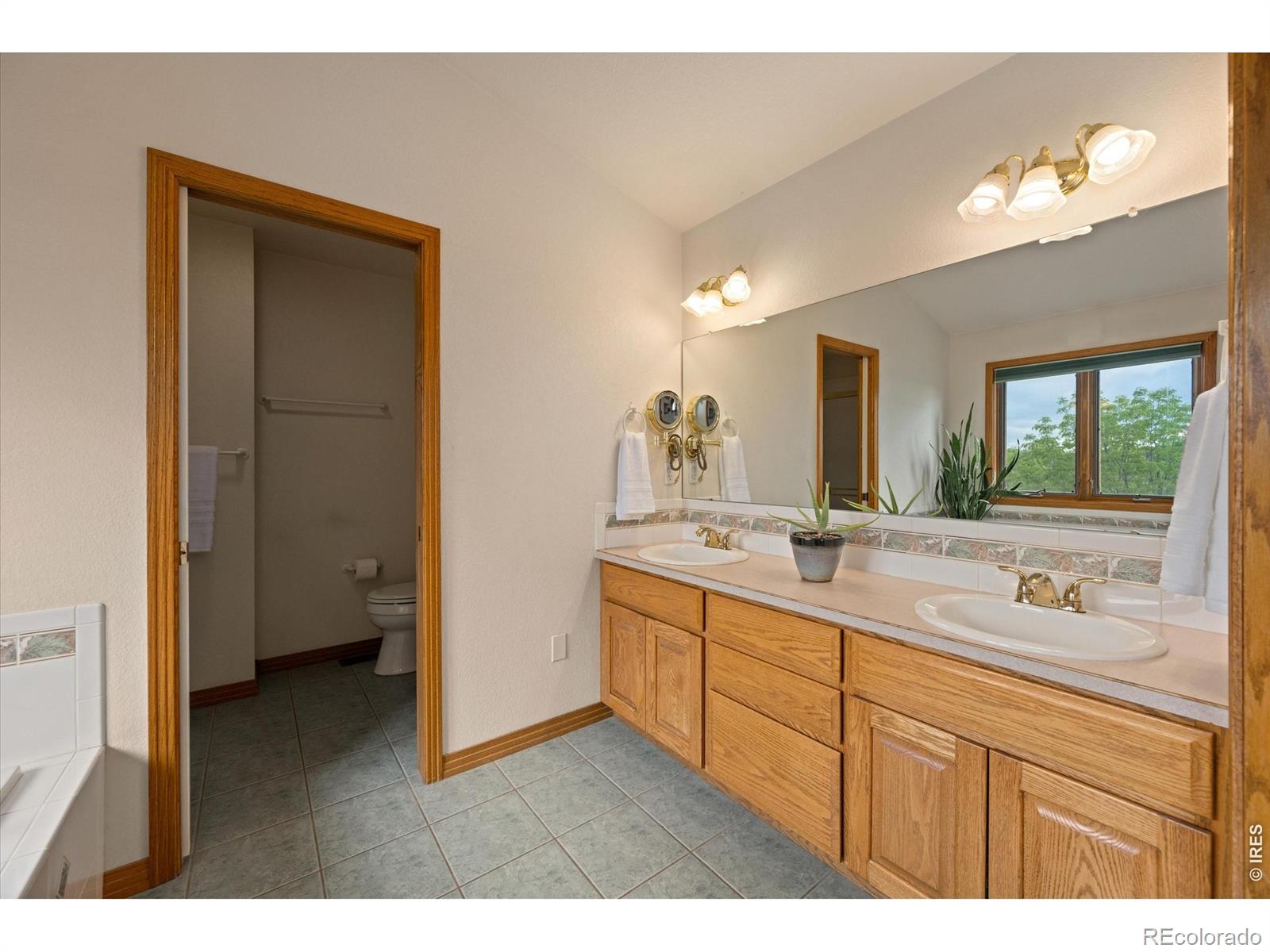 6206 Fox Tail Court Loveland CO 80537