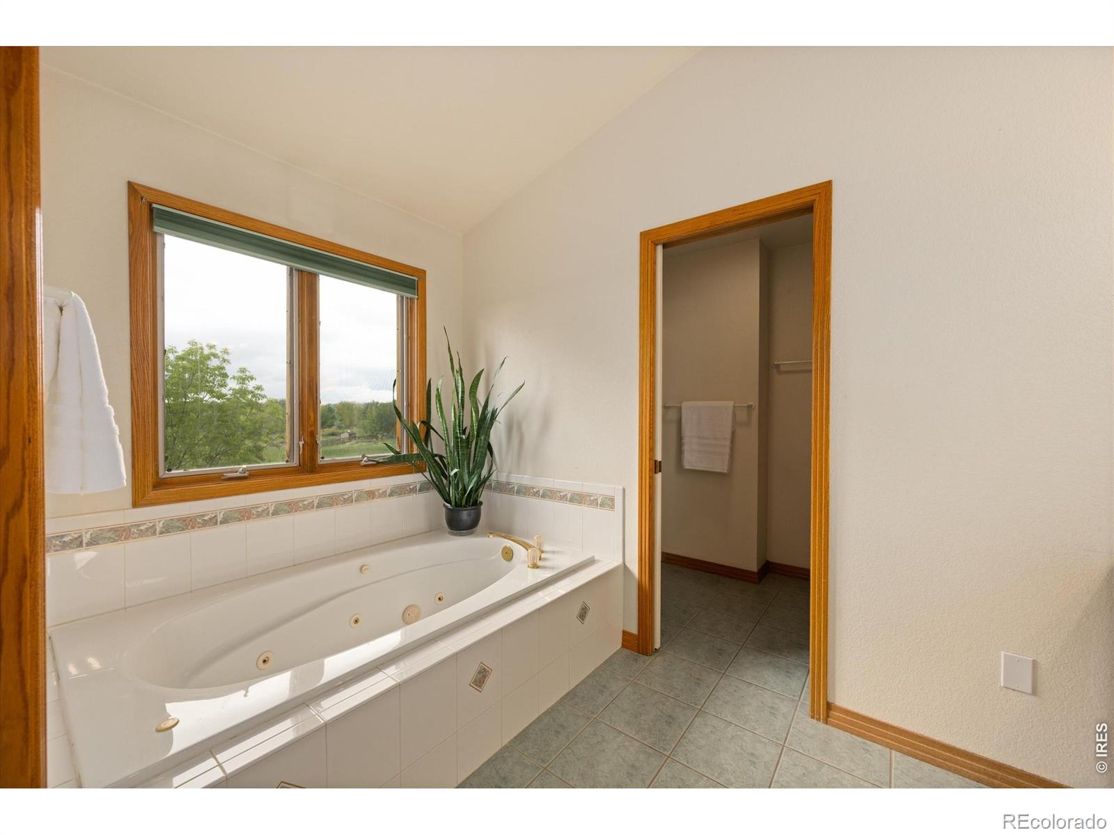 6206 Fox Tail Court Loveland CO 80537