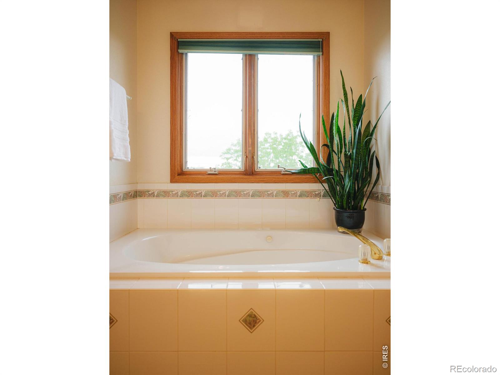 6206 Fox Tail Court Loveland CO 80537