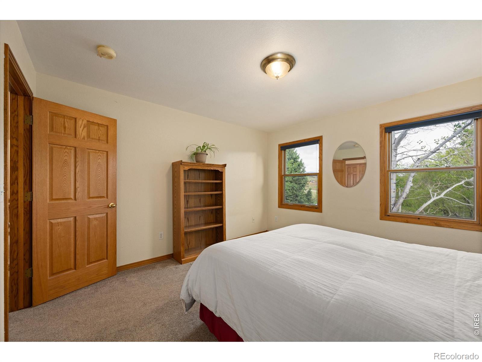 6206 Fox Tail Court Loveland CO 80537