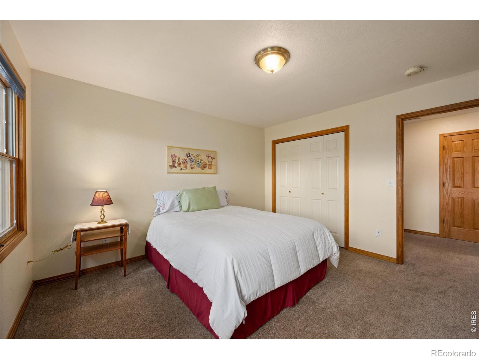 6206 Fox Tail Court Loveland CO 80537