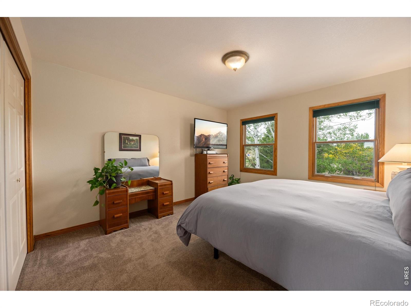 6206 Fox Tail Court Loveland CO 80537