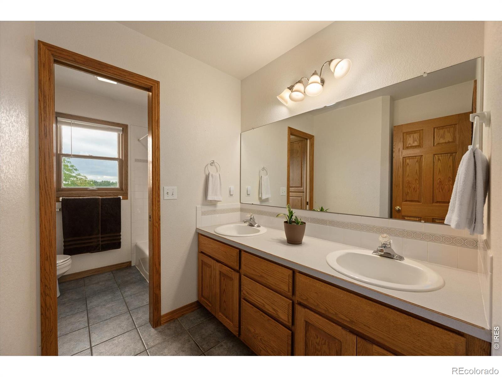 6206 Fox Tail Court Loveland CO 80537