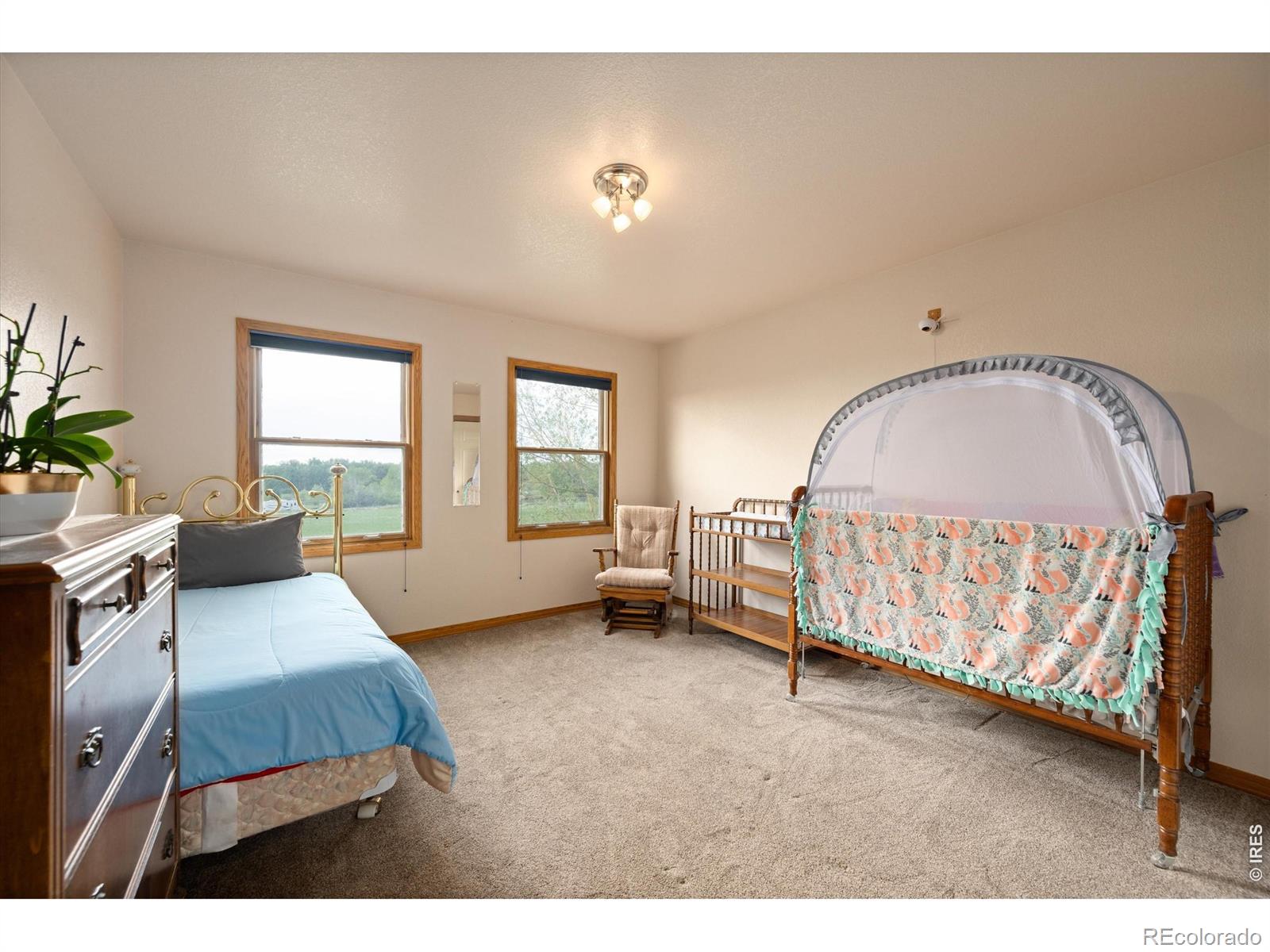 6206 Fox Tail Court Loveland CO 80537