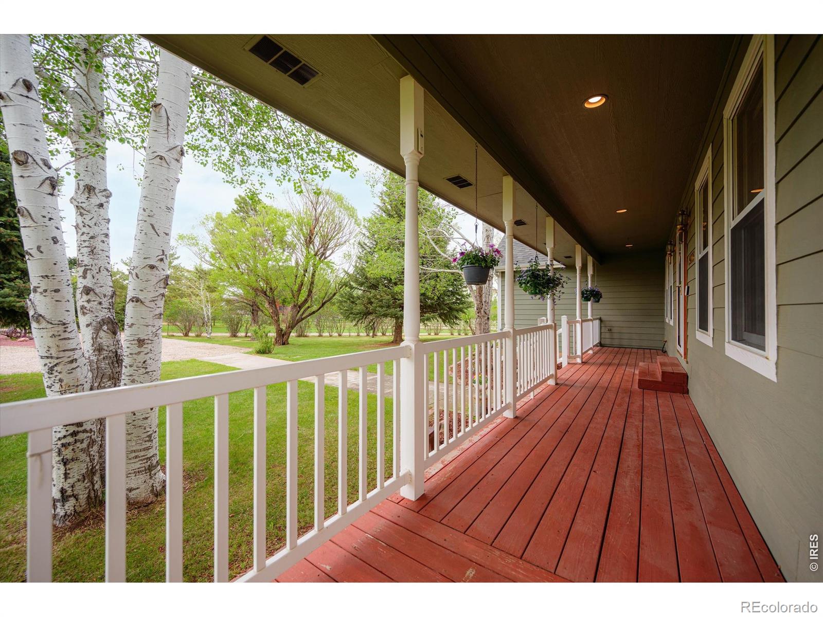 6206 Fox Tail Court Loveland CO 80537