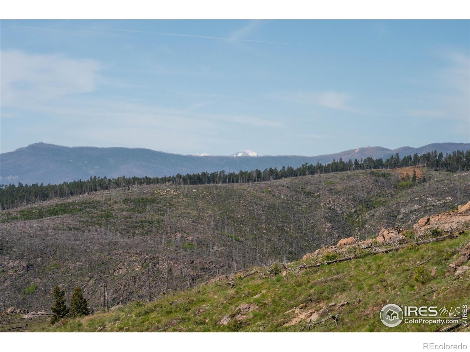 4119 Davis Ranch Road Bellvue CO 80512