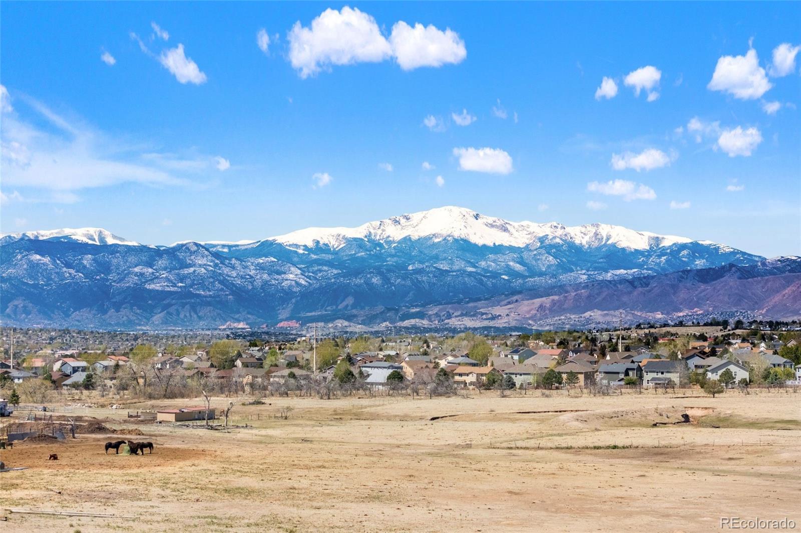 8412 Noreen Falls Drive Colorado Springs CO 80924