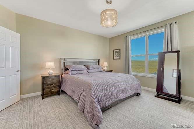 7482 Patrick Trail Elizabeth CO 80107