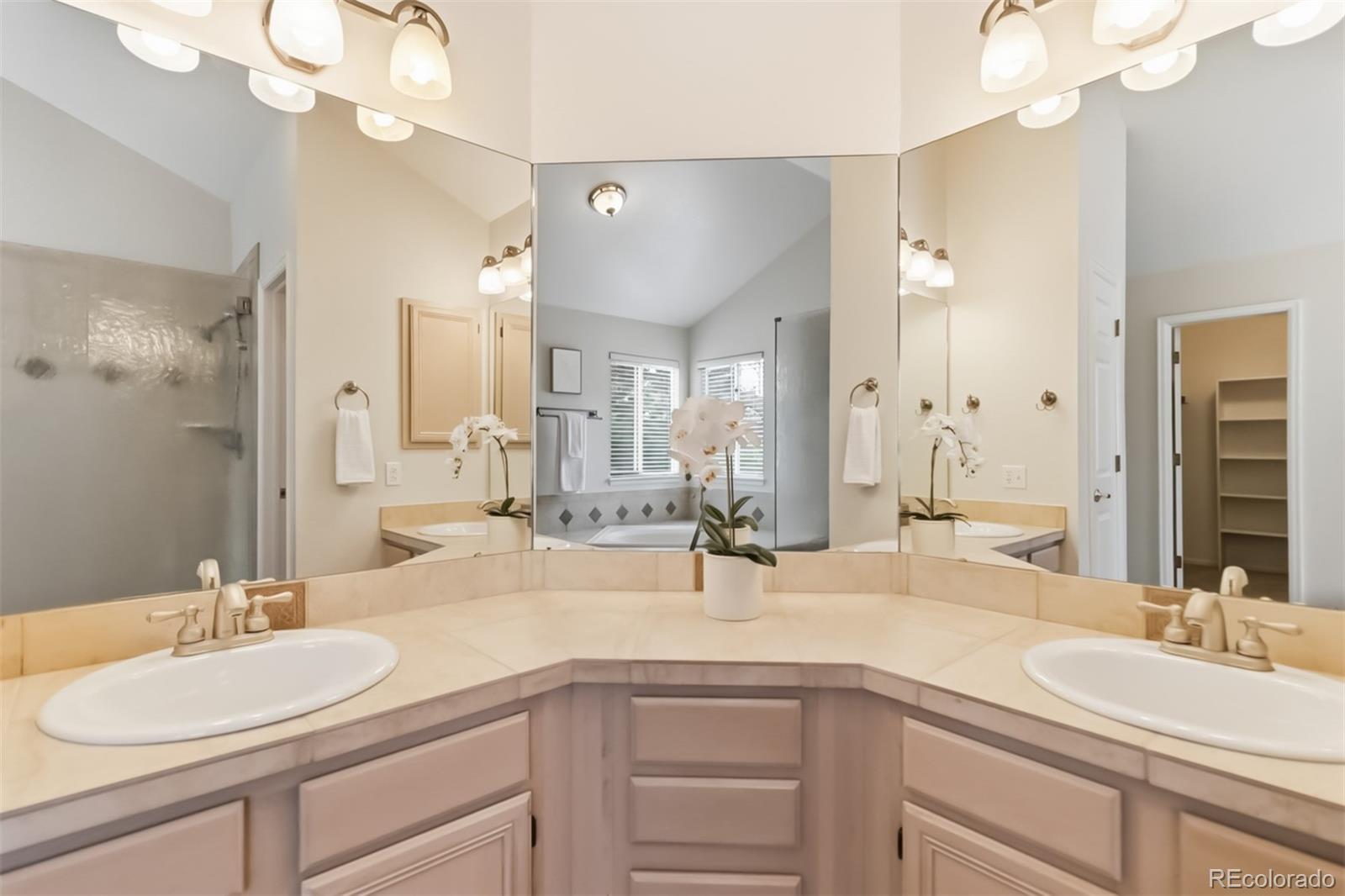 7356 Rattlesnake Drive Lone Tree CO 80124