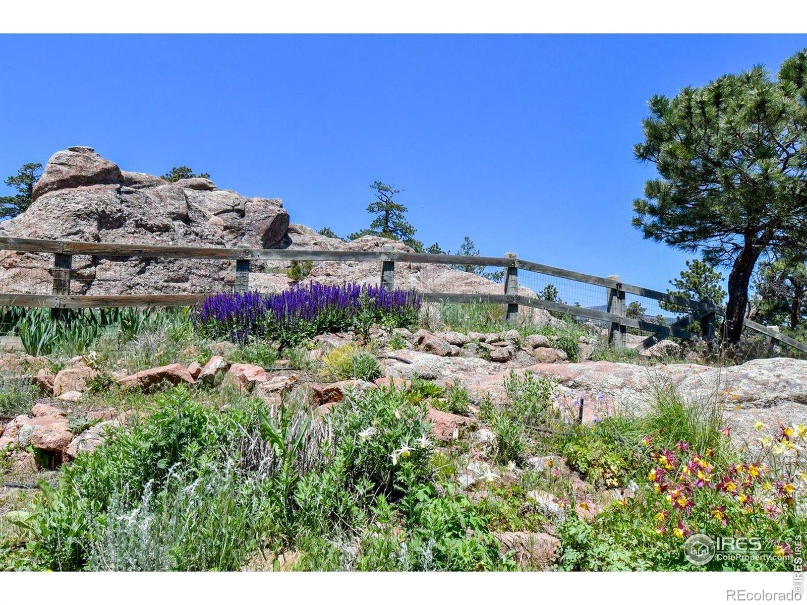 1960 Colard Lane Lyons CO 80540