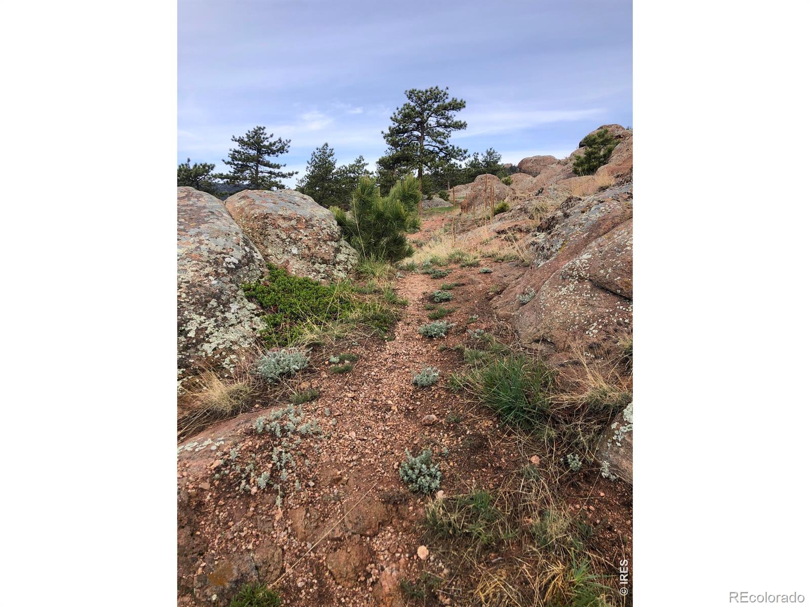 1960 Colard Lane Lyons CO 80540