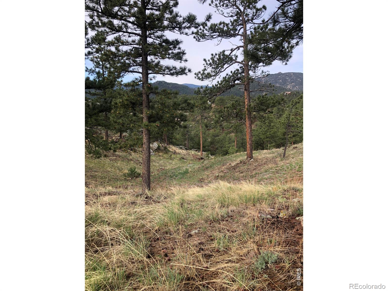 1960 Colard Lane Lyons CO 80540