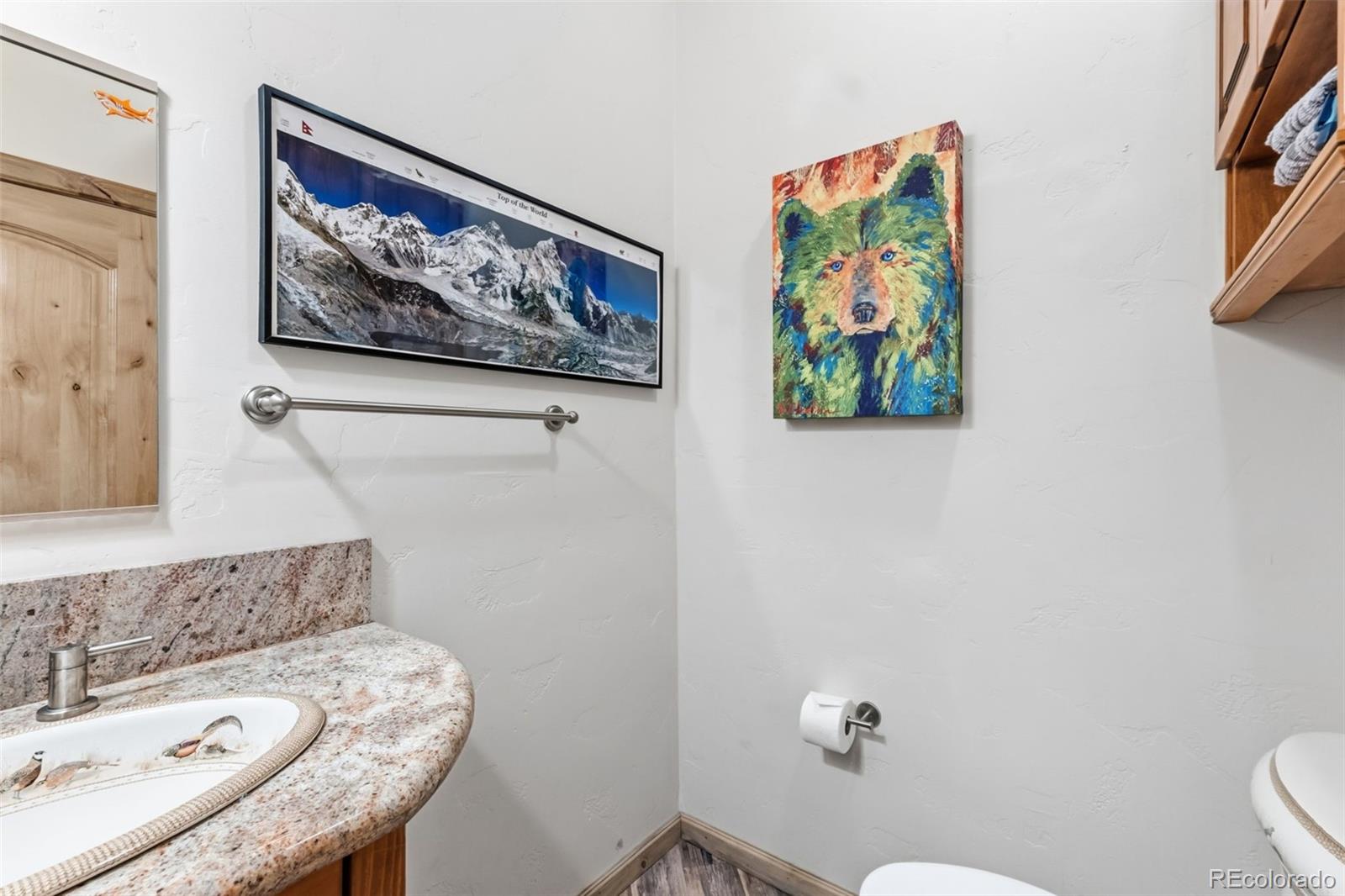 300 Buckeye Creek Road Leadville CO 80461